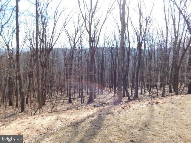 Lot 13 & 14 Joseph Hanks Drive - Photo 1