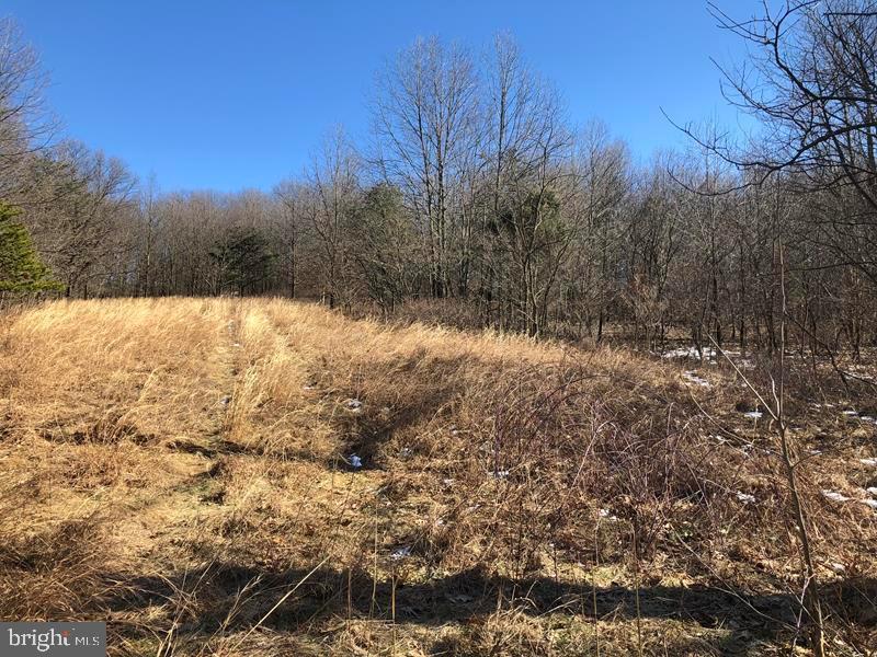 853 Old Jersey Mountain Road - Photo 1