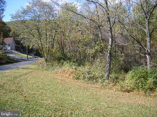 Shady Lane - Photo 1