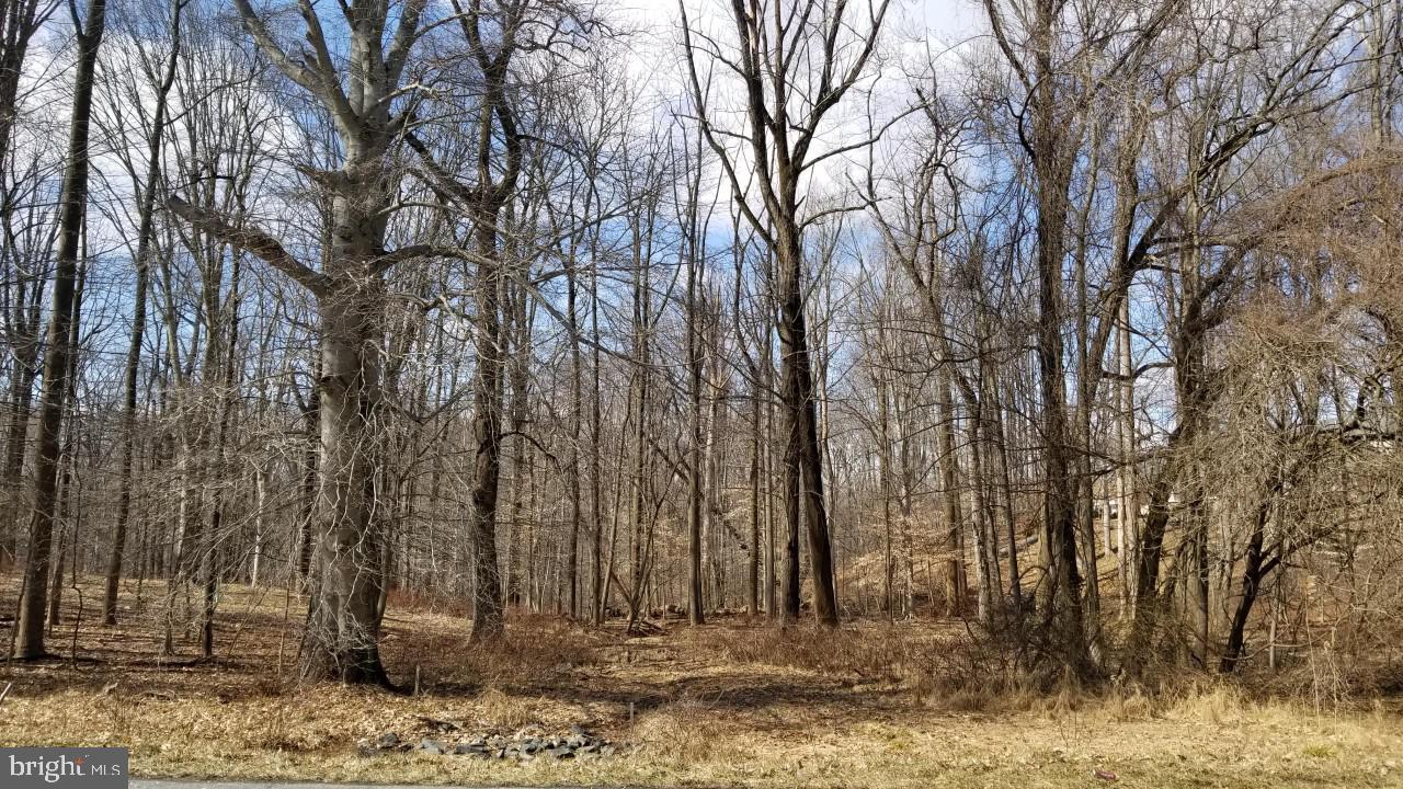 904 Wheel Road - Photo 1