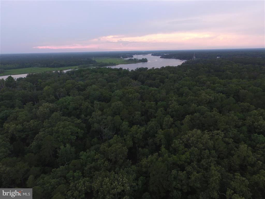 River's Edge - Photo 1
