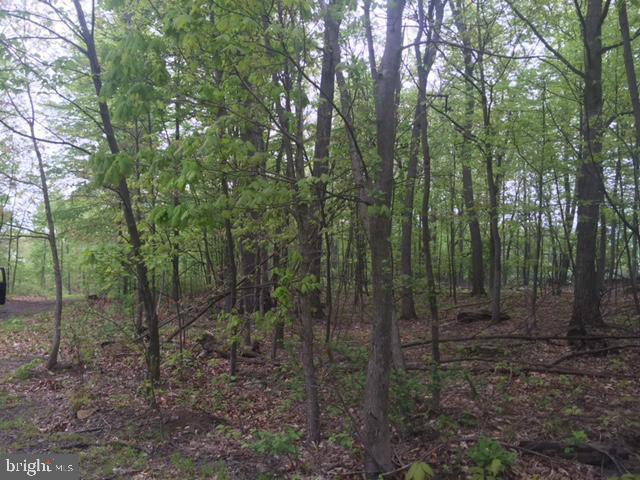 Hill Road - Photo 1