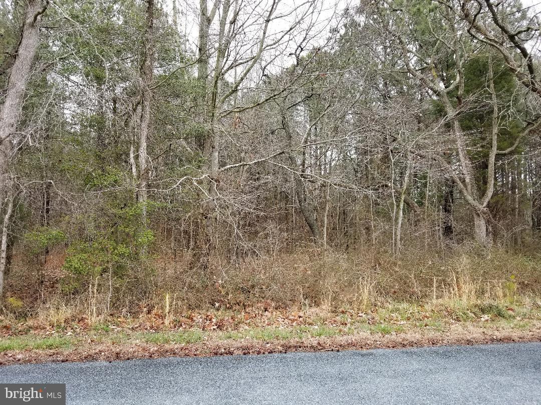 0 Cedar Landing Drive - Photo 1
