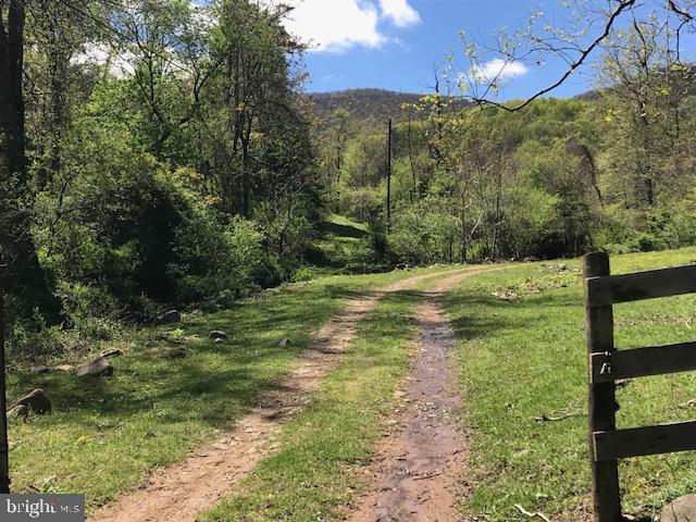 Dovel Hollow Road - Photo 1