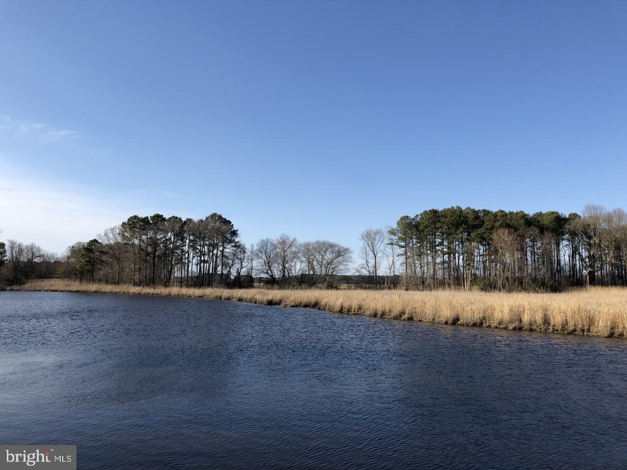29982 Arbor Acre - Photo 1