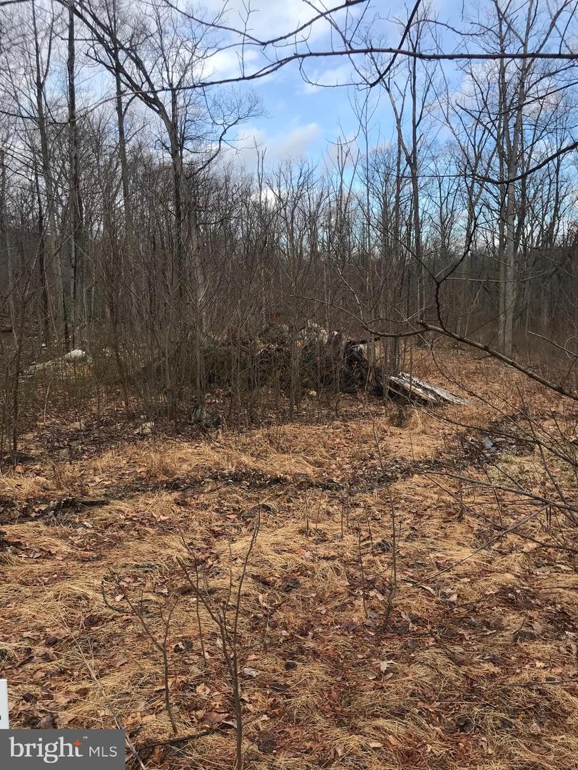 906 Ithaca - Photo 1