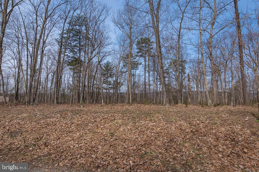 Lot 2 Salvo Way - Photo 1