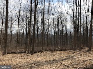 125-135 Hexenkopf Road - Photo 1