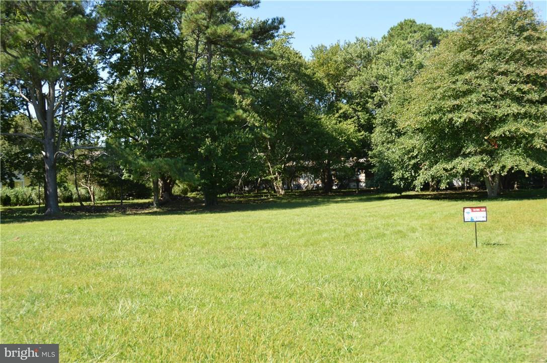 39885 Garfield Parkway - Photo 1