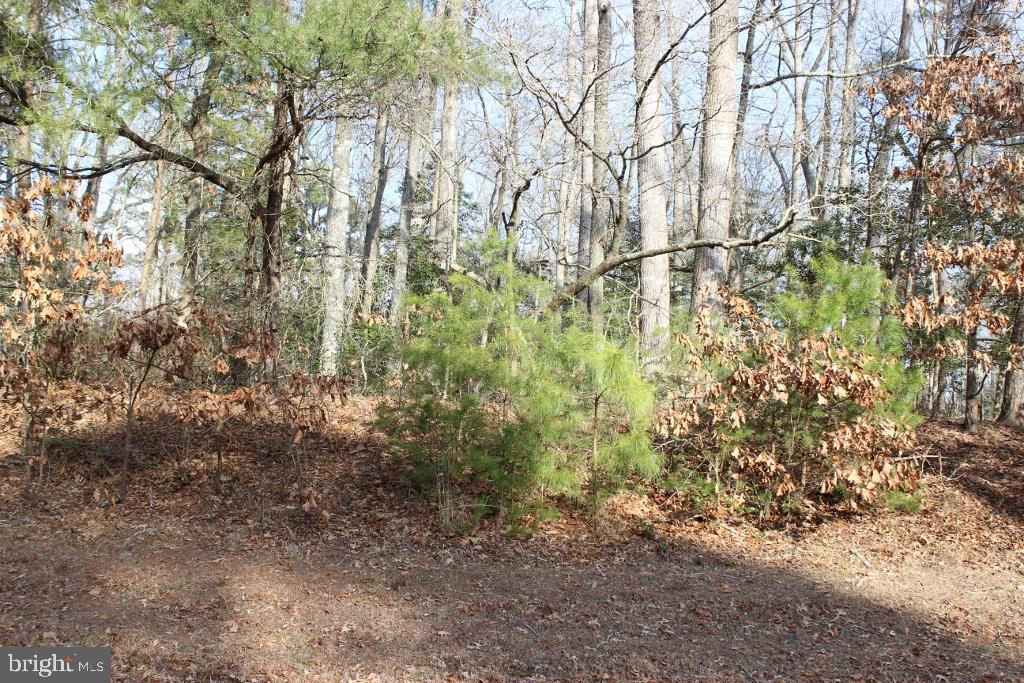 1810 Frigate Court - Photo 1