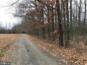 1225 West River Road - Photo 1