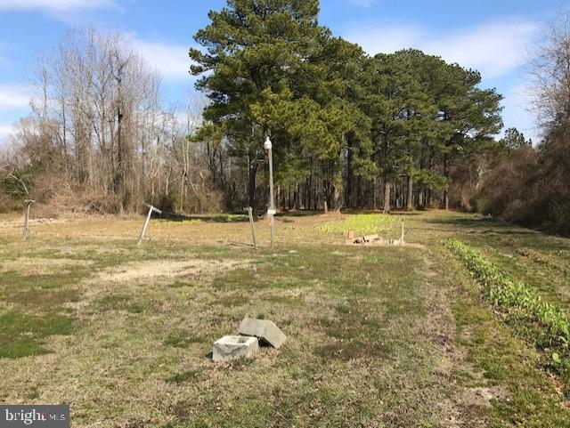 309 Maple Avenue - Photo 1