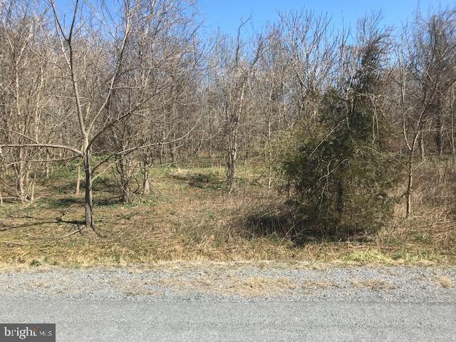 Lot # 28 Apple Jack Court - Photo 1