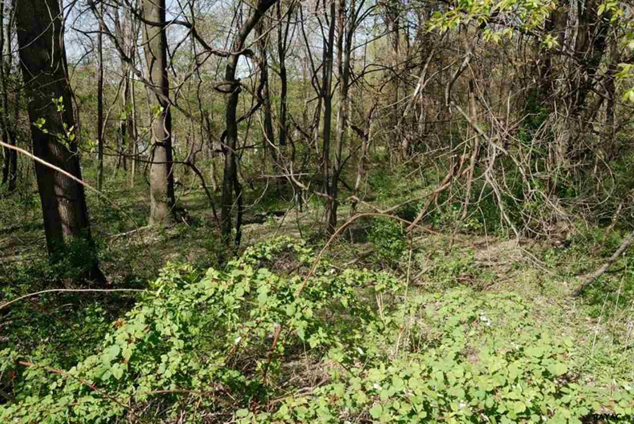 64 Meadowlark Trail - Photo 1 64 Meadowlark Trail - Photo 1