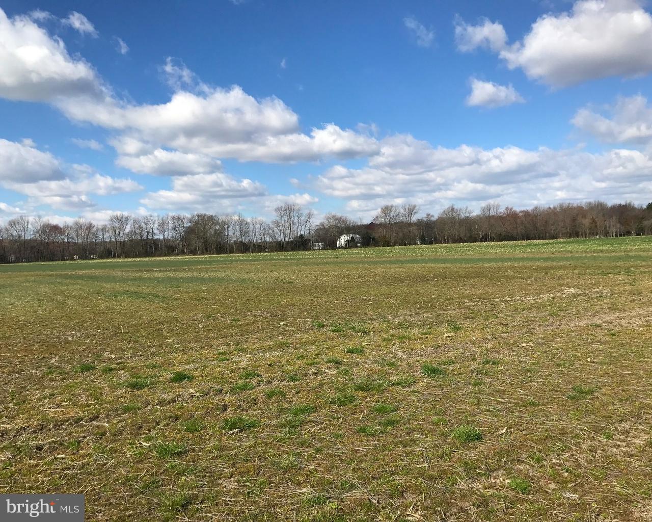 Lot 2 Pearsons Corner Road - Photo 1