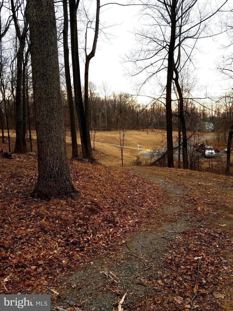 35350 Round Knoll Court - Photo 1