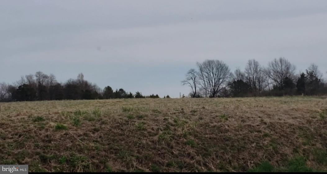 Lot 4 Old Lancaster Pike - Photo 1