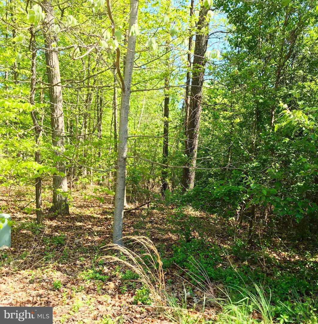Woodholme Way - Photo 1