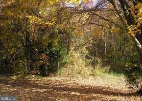 Pierce Creek Landing - Photo 1