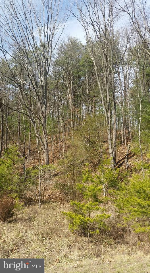 Lot 6 Mountain Brook Lane - Photo 1
