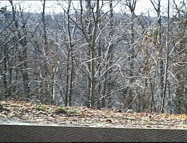 Vacant land Woodview Drive - Photo 1
