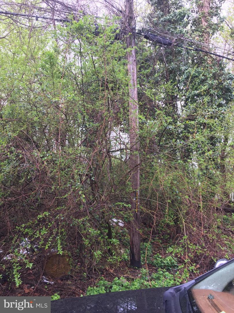 1701 Lee Road - Photo 1