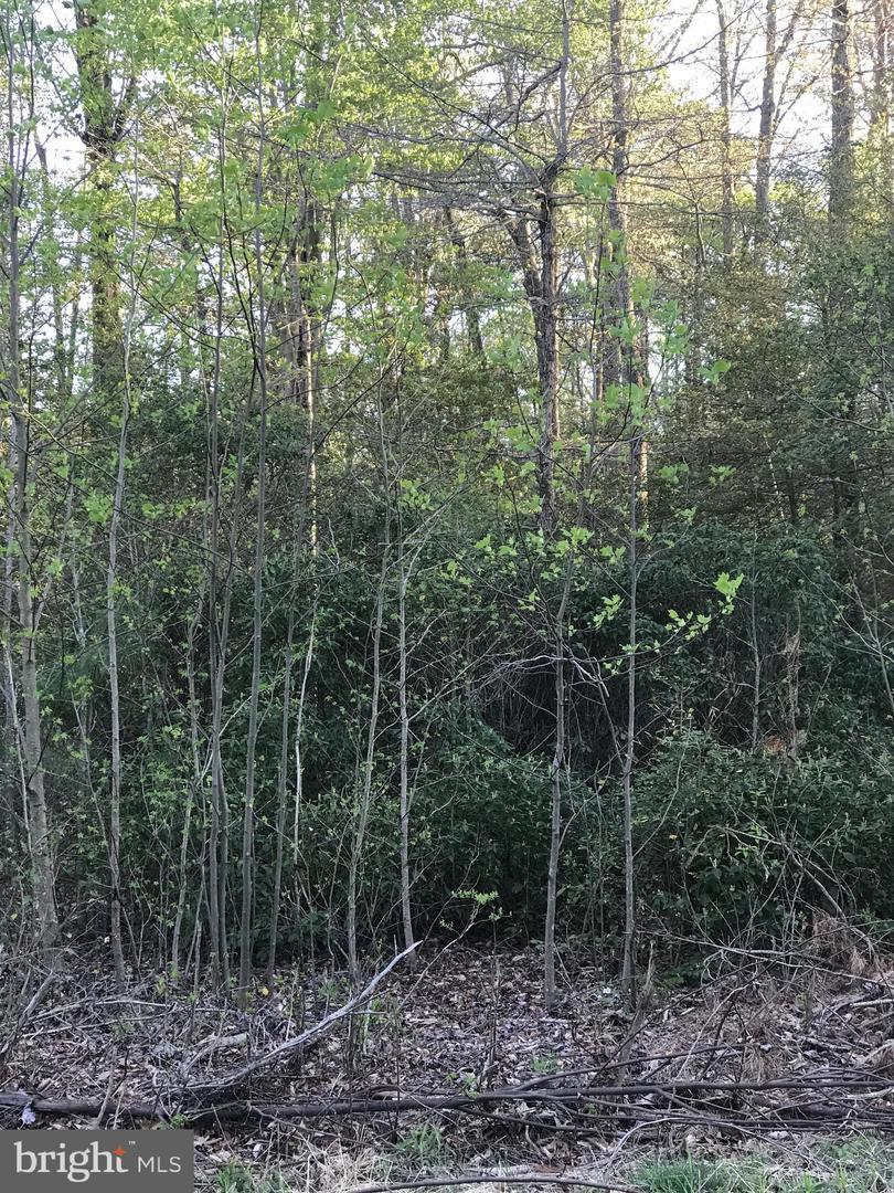 Lots 8 & 9 Poplar Ln. - Photo 1