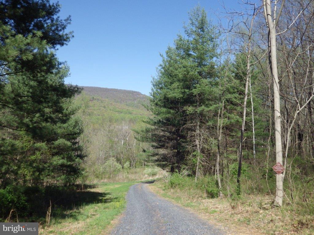 Lot 17 White Pine Court - Photo 1 Lot 17 White Pine Court - Photo 1