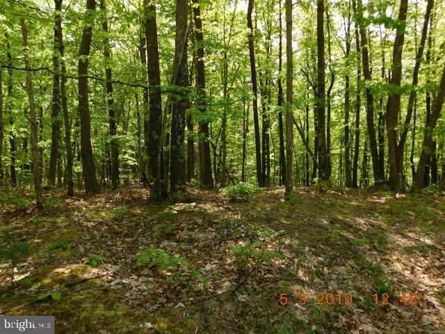 Lot 28 North River Bend Sd - Photo 1