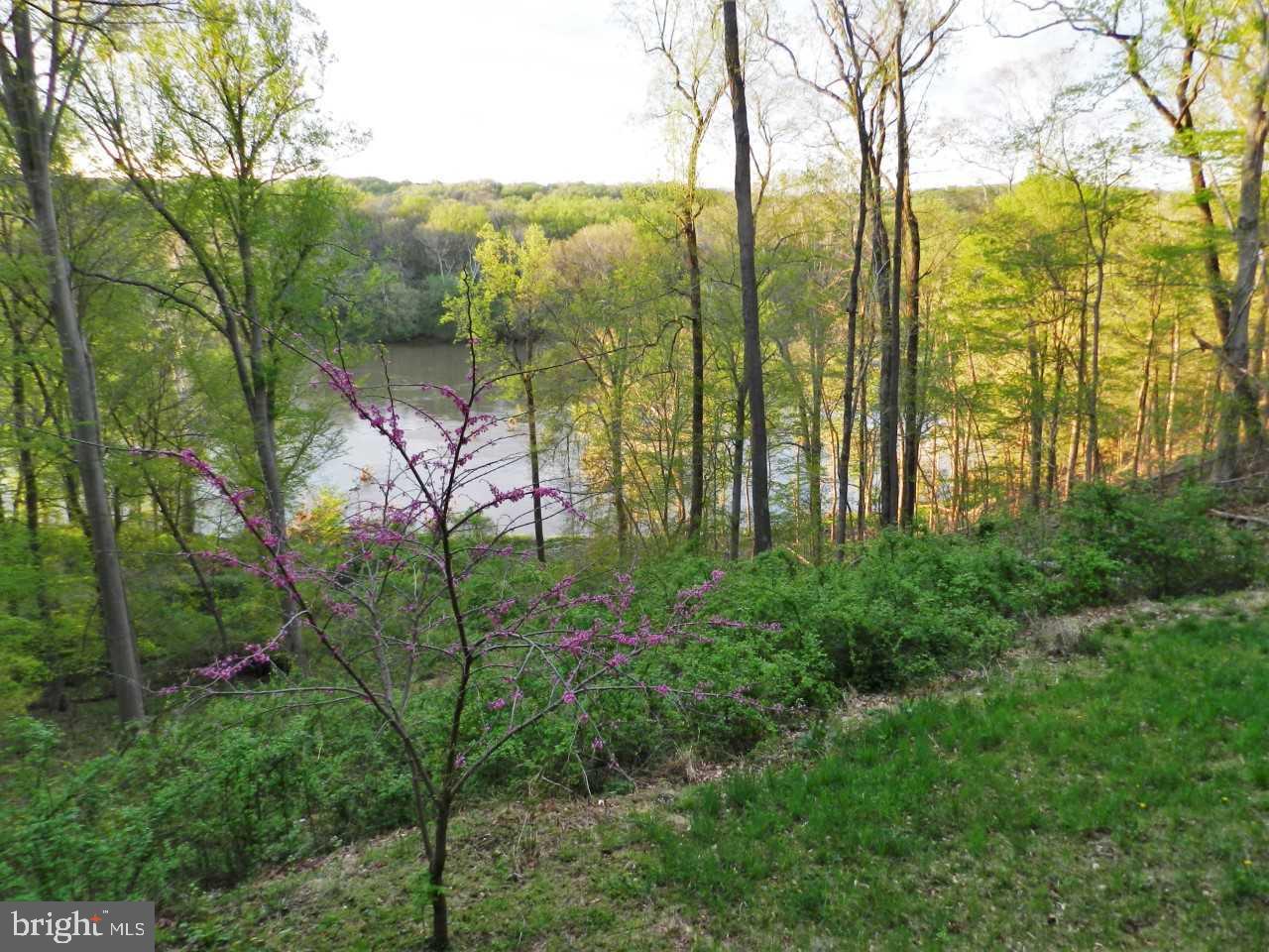 620 Rivercrest Drive - Photo 1