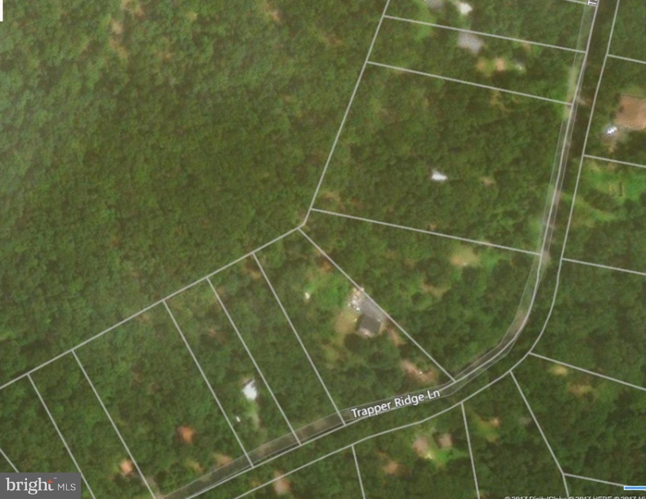 Trapper Ridge - Photo 1