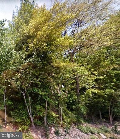 Staytonville Road - Photo 1