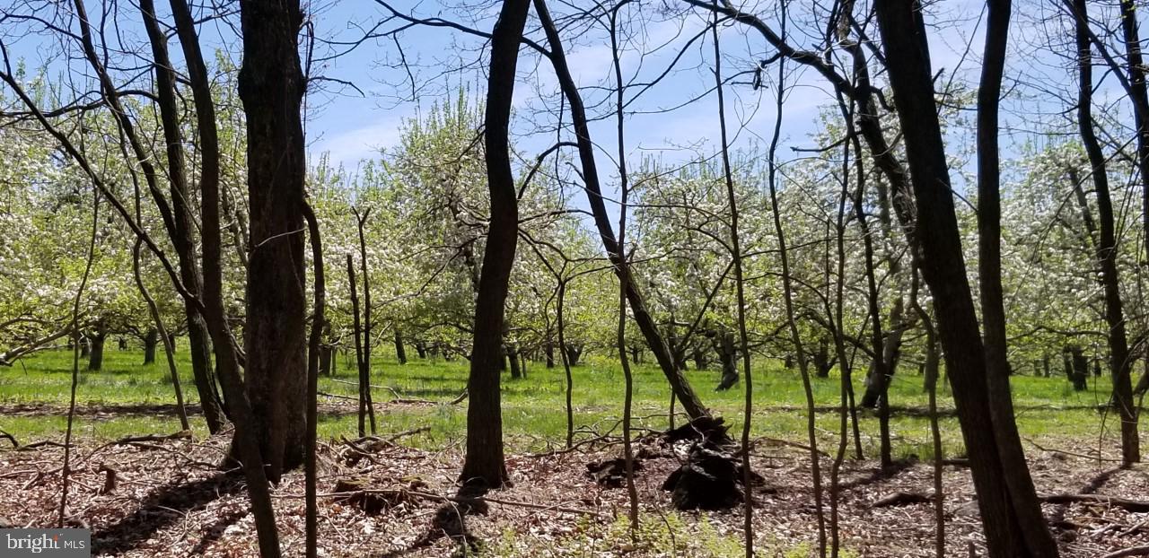Lot 3-2230 Cold Springs Rd. - Photo 1