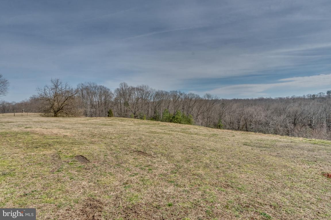 8331 Lambs Creek Church Road - Photo 1