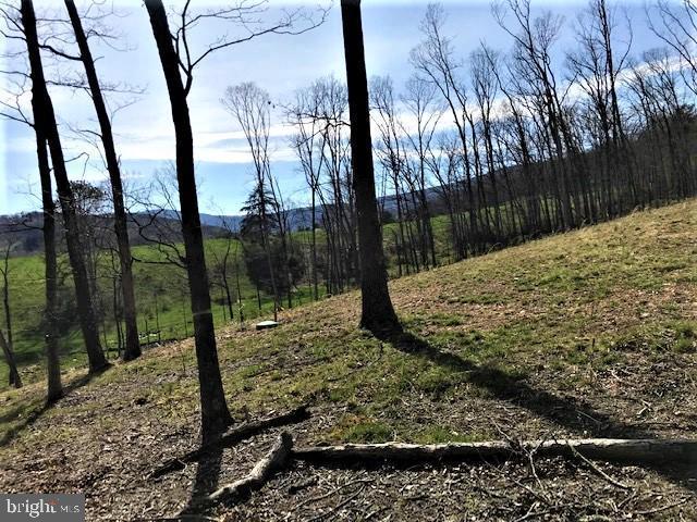 Off Upper Pine Grove Road - Photo 1