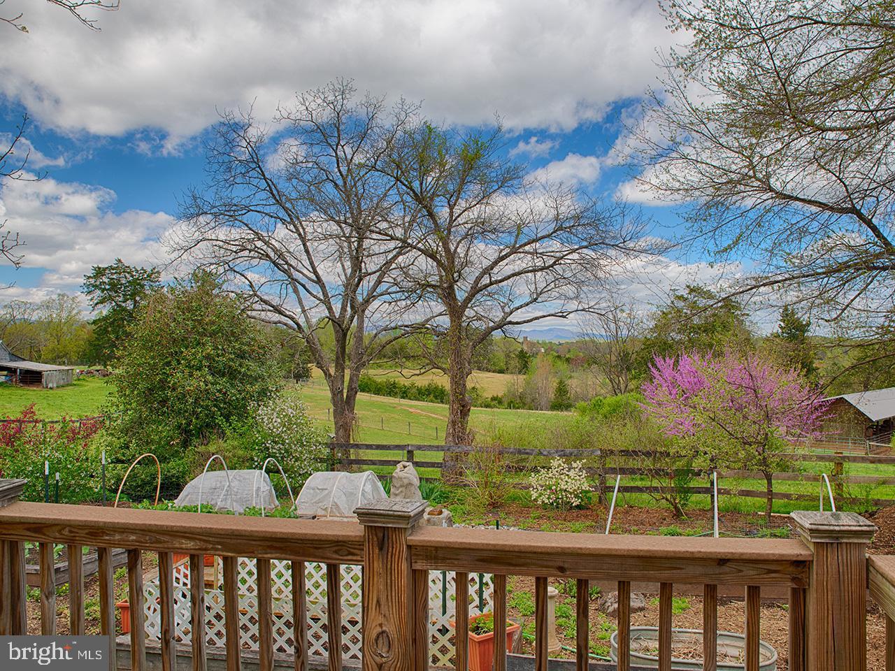 101 Longshot Lane - Photo 1