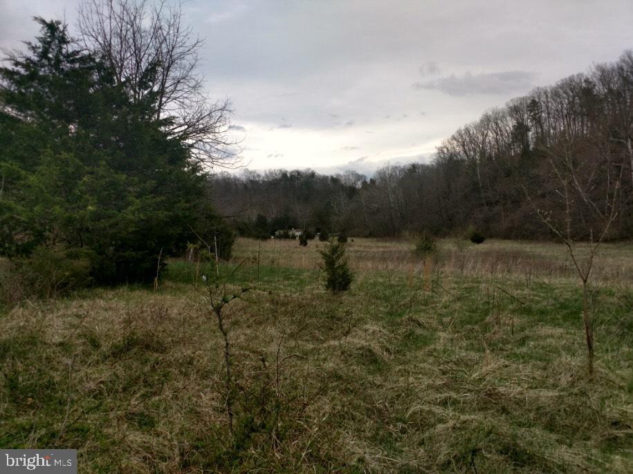 Stokes Airport Road - Photo 1