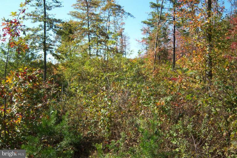 Deer Run Rd - Photo 1