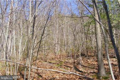 Cubbage Hollow Road - Photo 1 Cubbage Hollow Road - Photo 1
