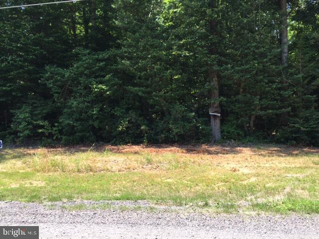 Albrough Blvd - Photo 1