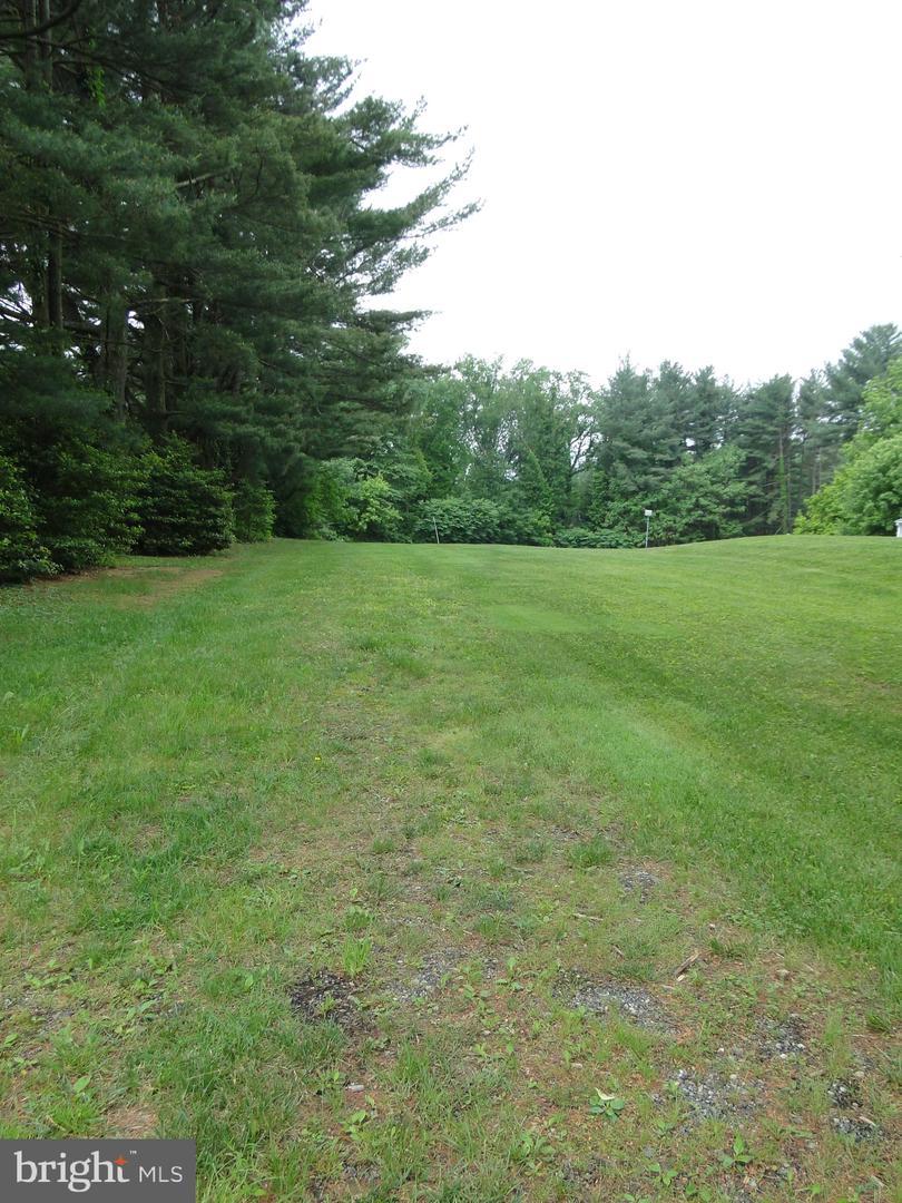 Meylston - Photo 1