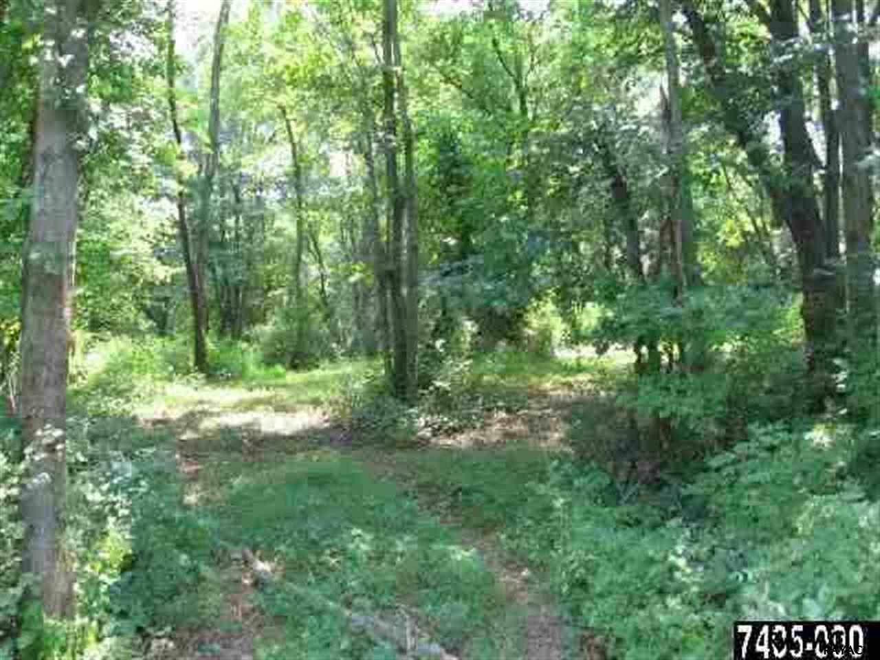 Lot #2 Iron Bridge Road - Photo 1 Lot #2 Iron Bridge Road - Photo 1