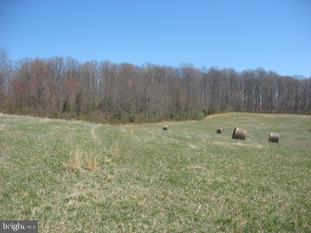 0 Graves Mill Road - Photo 1