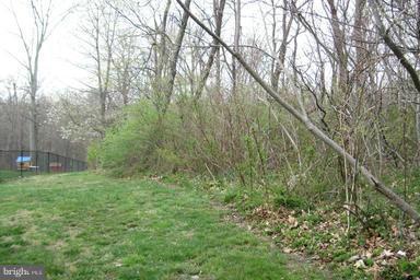 11027 Locust Drive - Photo 1