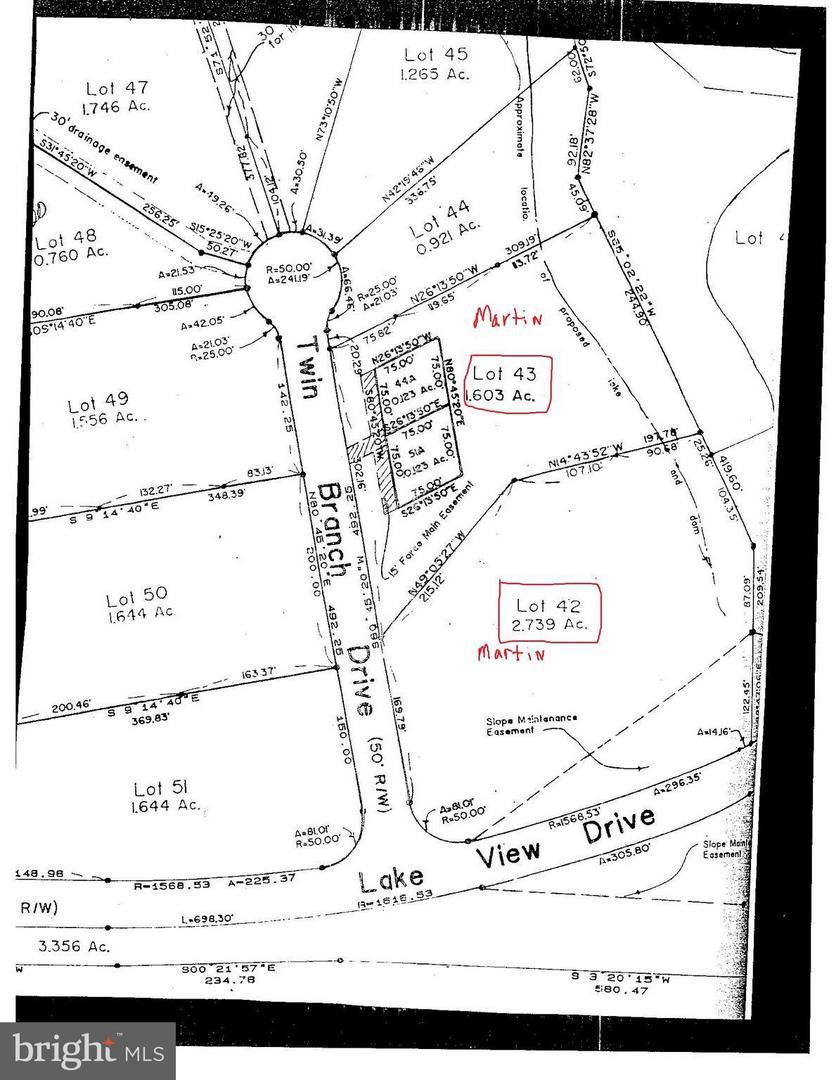0 Twin Branch Drive - Photo 1