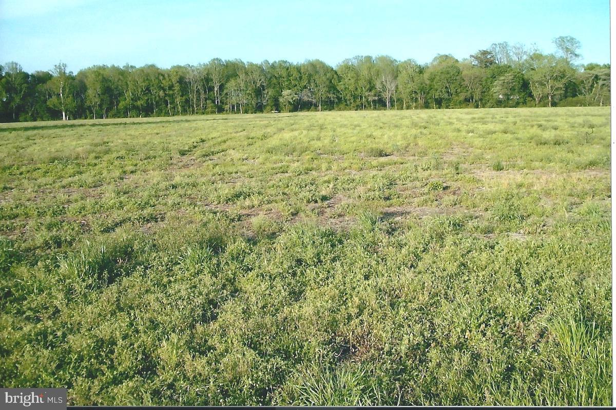 0 Sheephouse Road - Photo 1