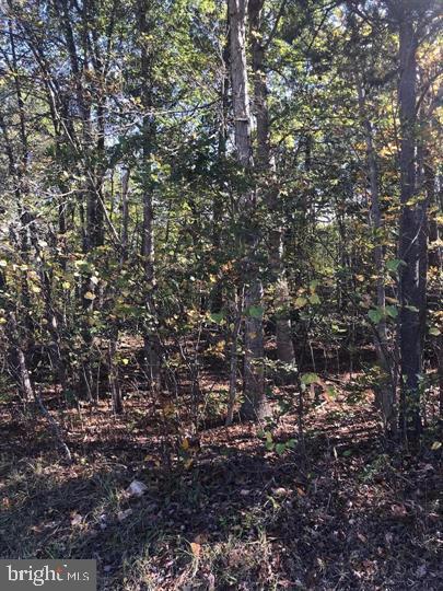 Consiler Ln And Back Creek - Photo 1