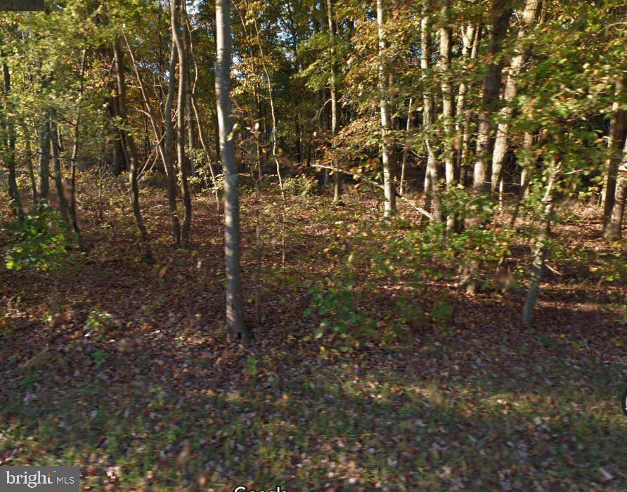 0 Stevens Avenue - Photo 1