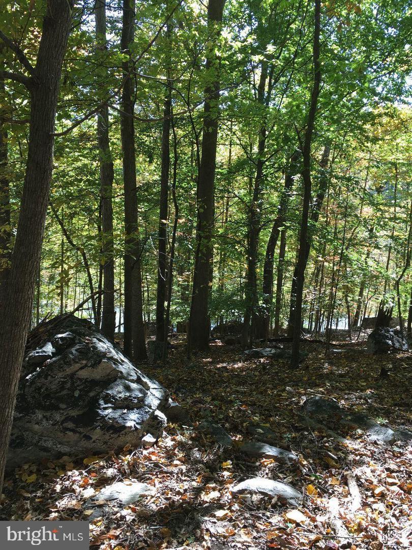 6784 Hemlock Point Road - Photo 1