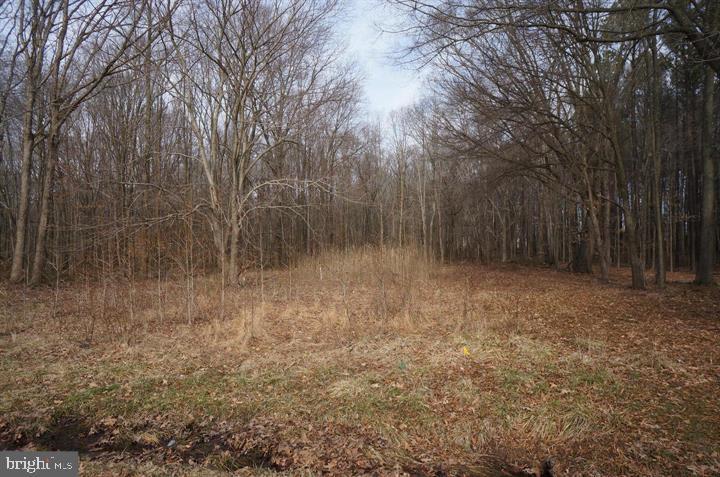 9048 Georgetown Road - Photo 1
